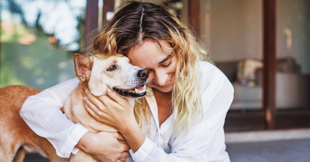 Caring for a Senior Pet: Special Considerations and Tips
