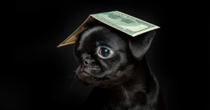 Counting the Costs: Financial Considerations of Owning a Pet