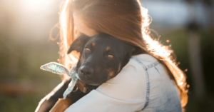 Fostering vs. Permanent Pet Adoption