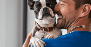 How to Choose the Right Veterinarian for Your Pet