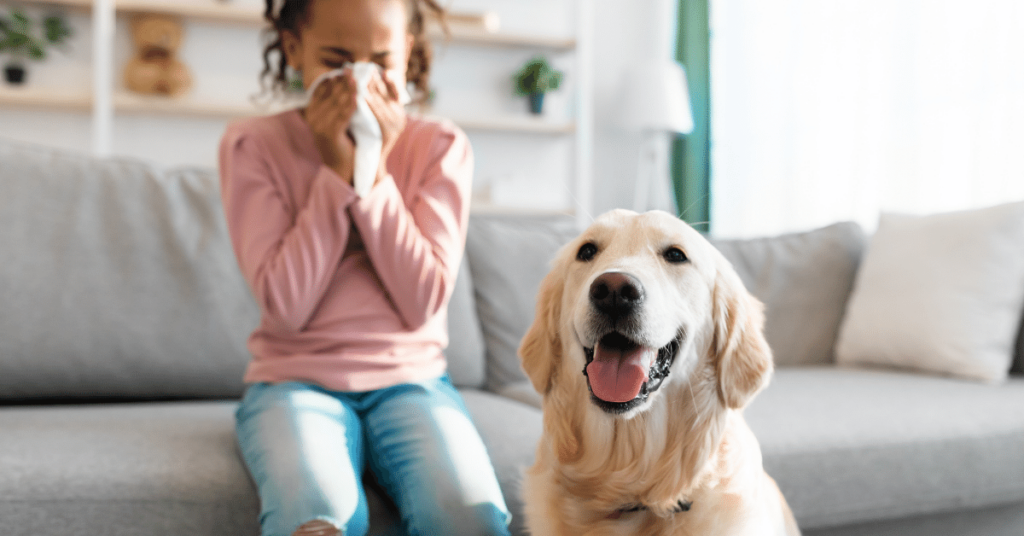 Managing Pet Allergies: Tips for Allergy-Prone Owners