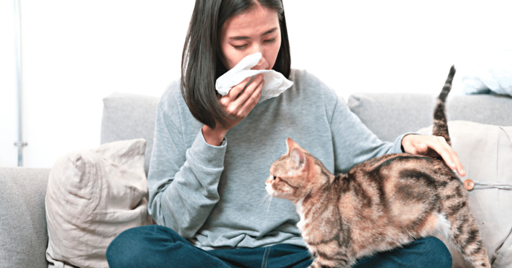 Pet Adoption and Allergies: Tips for Allergy-Friendly Pets