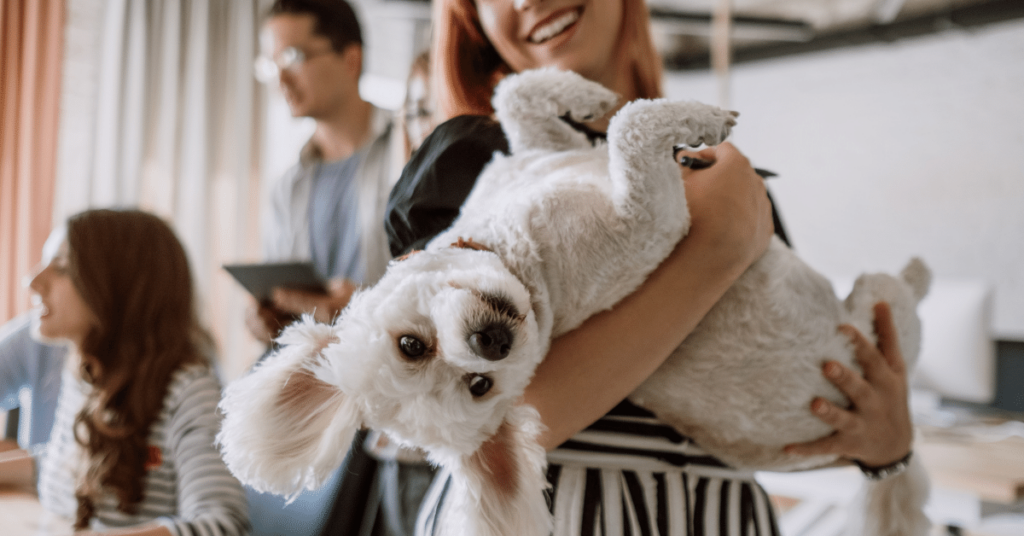 Pet Adoption vs. Buying: Pros and Cons