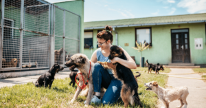 Pet Adoption: How to Choose the Right Shelter or Rescue Organization