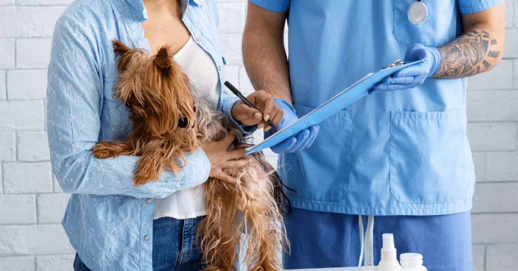 Pet Insurance 101: Protecting Your Pet's Health and Your Finances