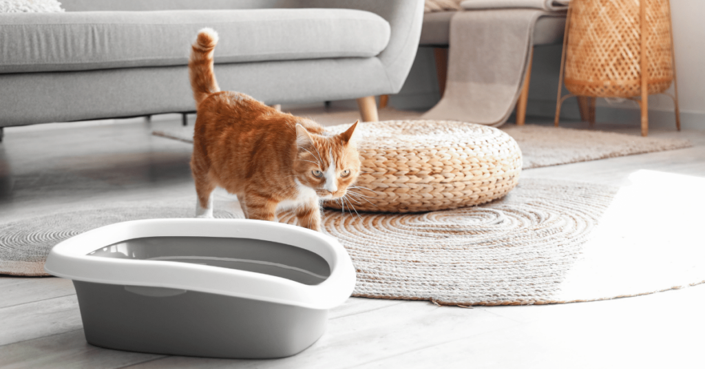 Pet Odor Control: Tips for Keeping Your Home Fresh and Clean