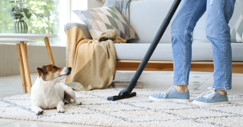 Pet-Safe Cleaning Products: Maintaining a Healthy Environment
