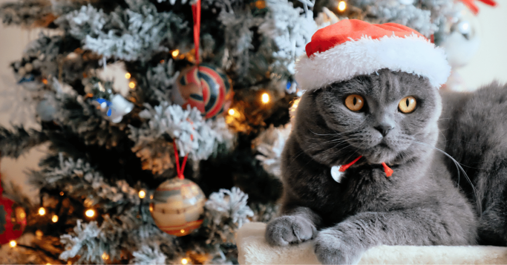 Pet-Safe Holidays: Tips for Keeping Your Pet Healthy and Happy during Celebrations