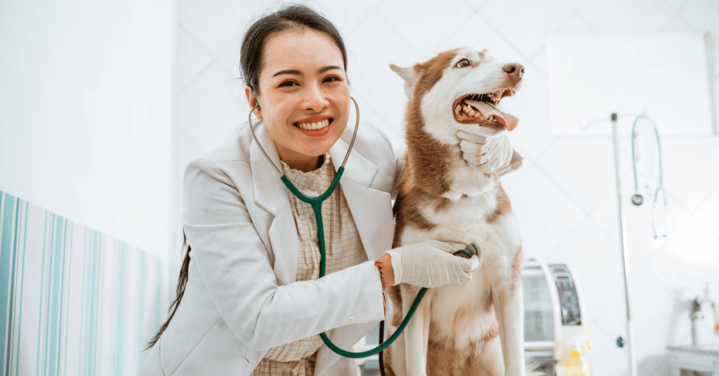 Preventing Common Pet Health Issues: Tips for a Healthy Companion
