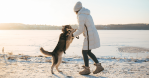 Seasonal Pet Care: Tips for Every Time of the Year
