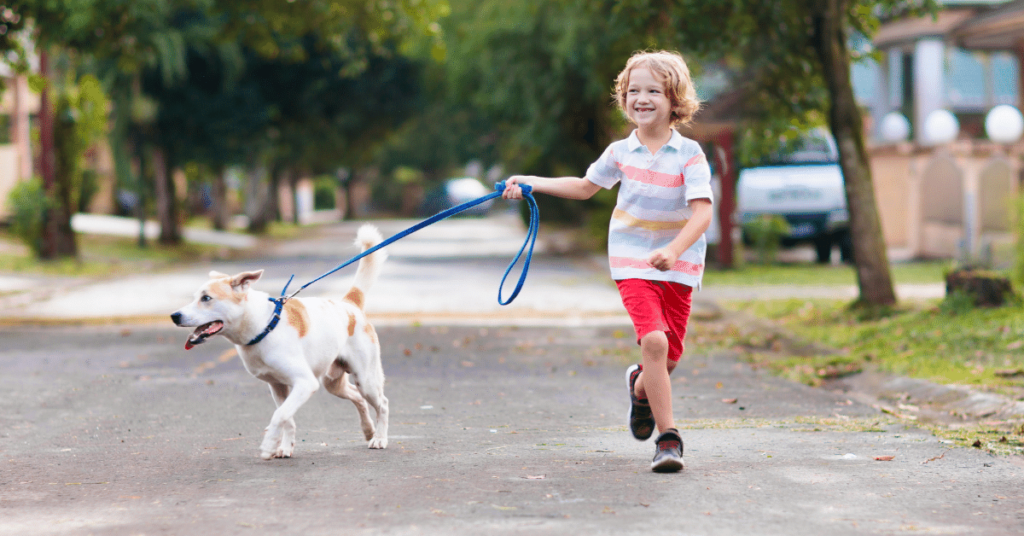 Teaching Kids Responsible Pet Care: Encouraging Compassion and Responsibility
