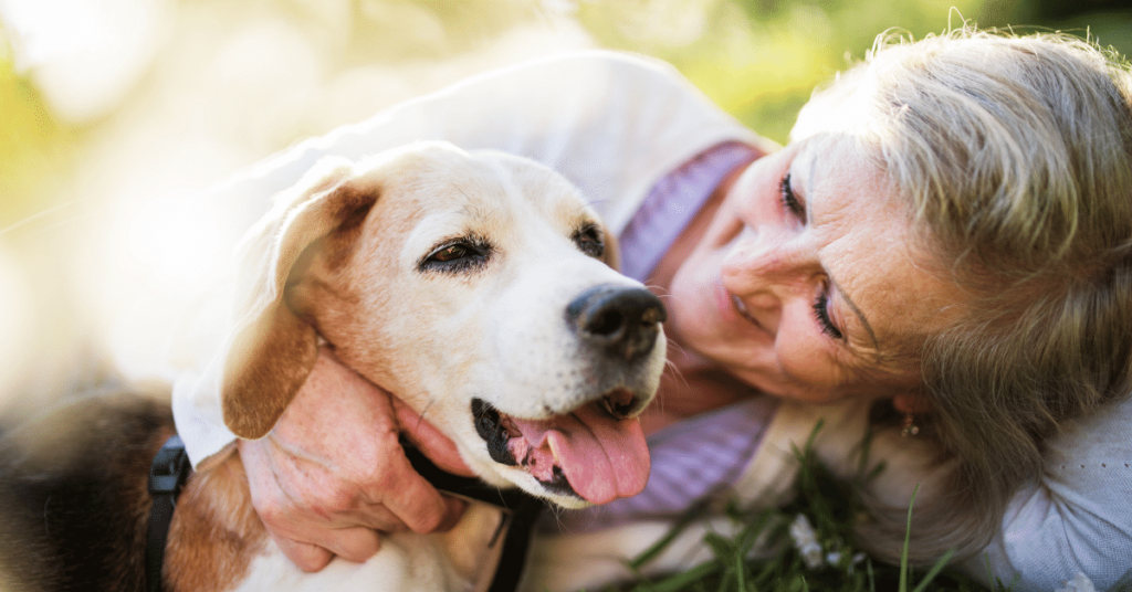 The Benefits of Adopting an Older Pet