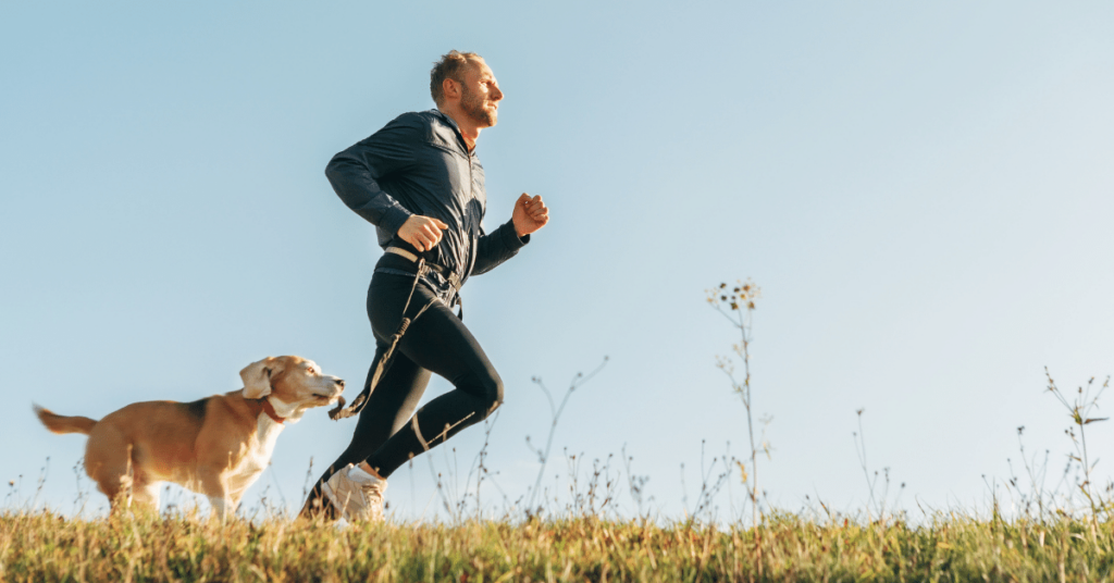 The Importance of Exercise for Pets: Keeping Them Active and Healthy