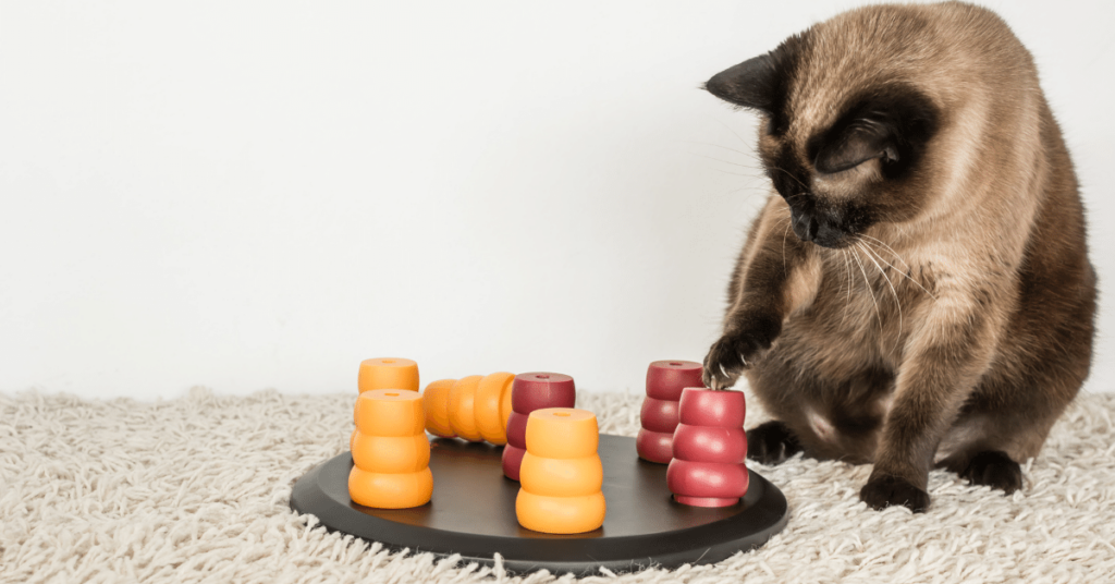 The Role of Mental Stimulation in Pet Wellness: Keeping Their Minds Sharp