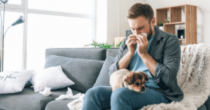 Understanding Pet Allergies: Causes, Symptoms, and Treatment